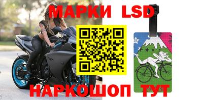 прущие грибы Балашиха