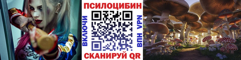 Галлюциногенные грибы мицелий  Гай 